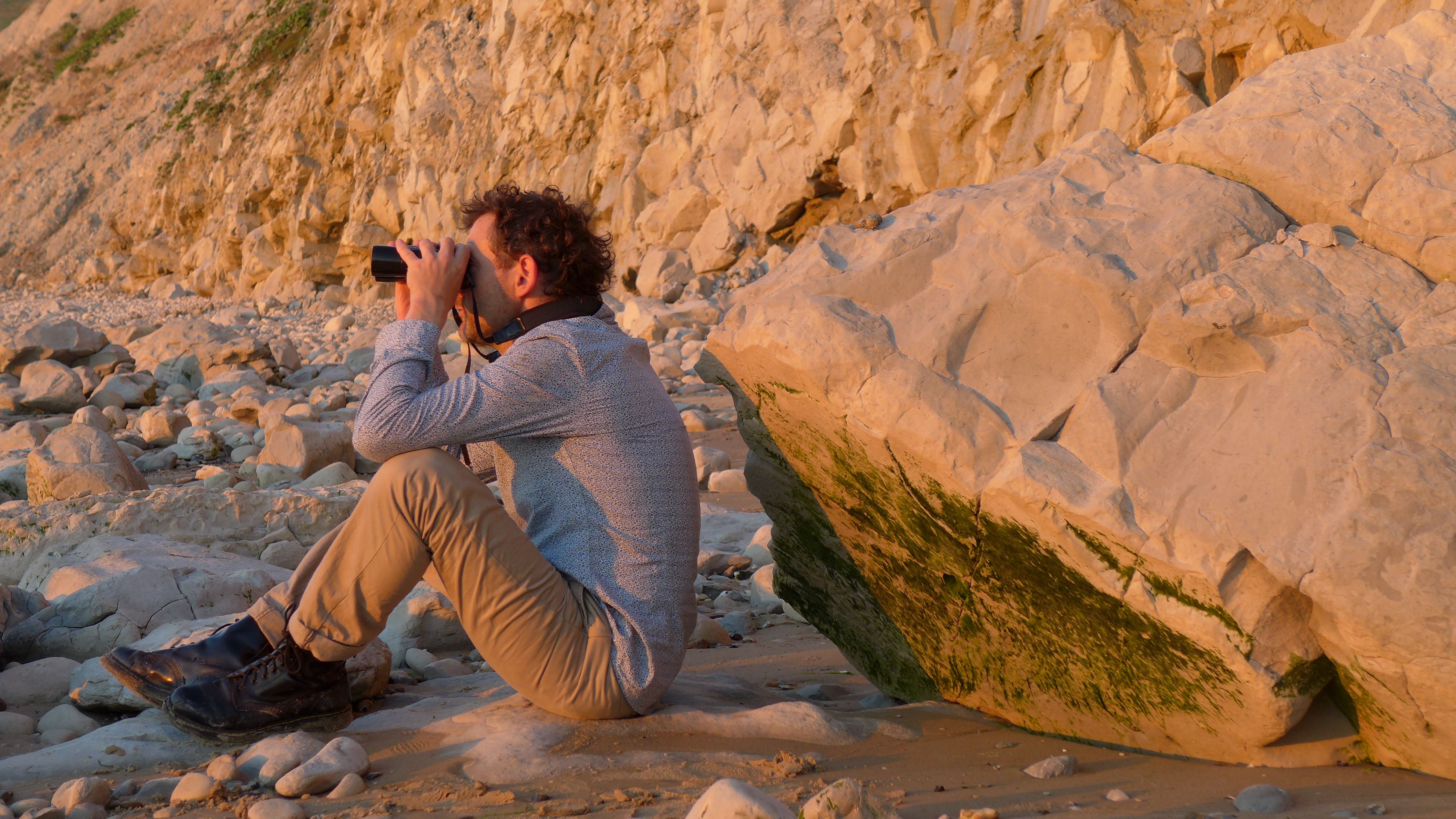 Observation de la migration de fin d'été au Cap Blanc-Nez