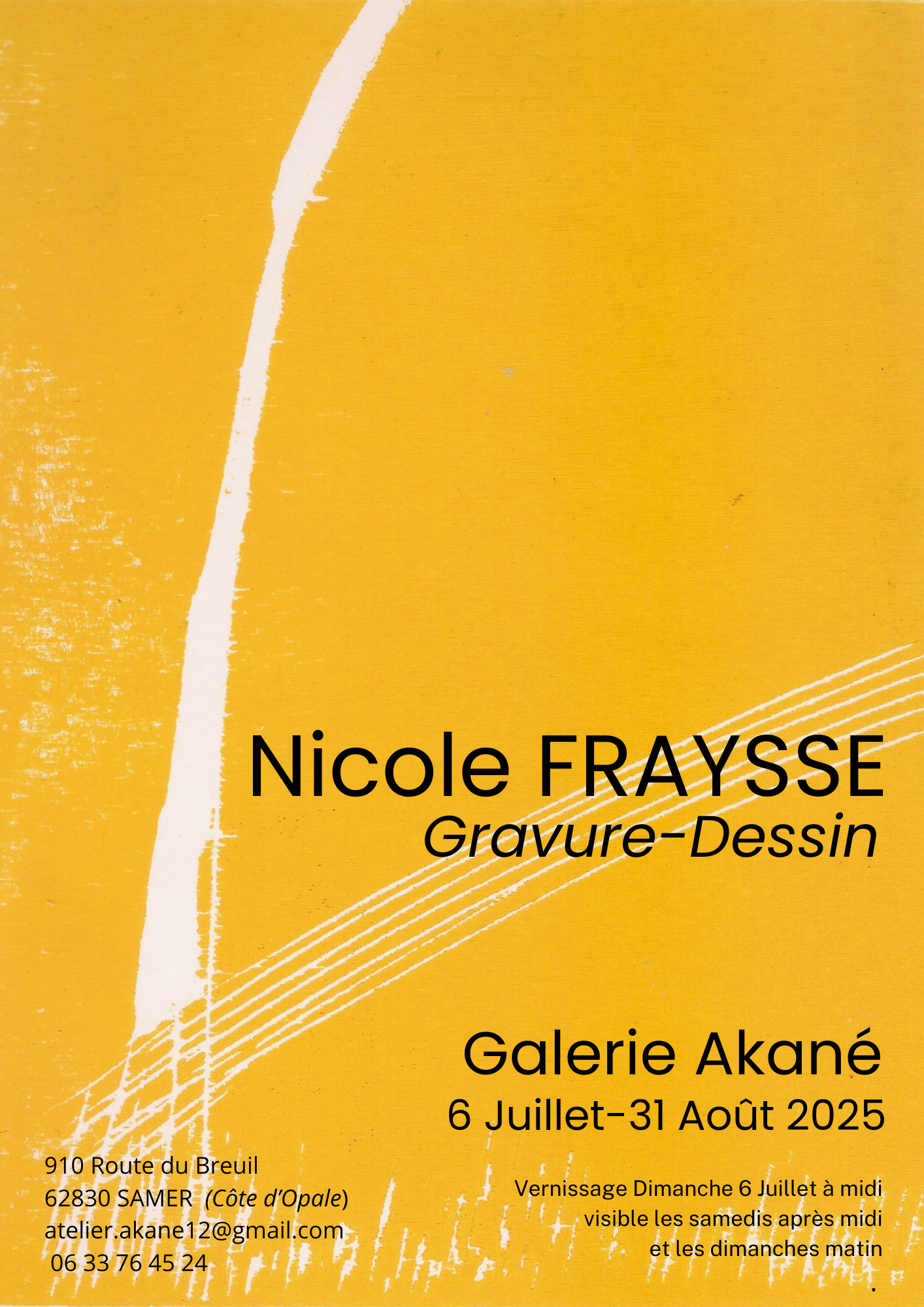 affiche event Nicole Fraysse